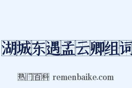 湖城东遇孟云卿组词是什么意思的图片